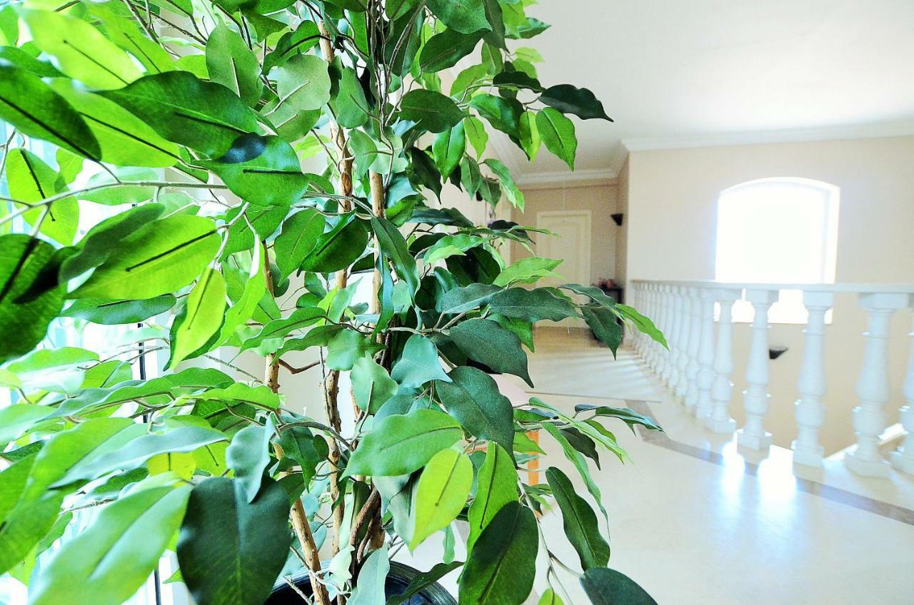 Suites&beds Dp Albufeira