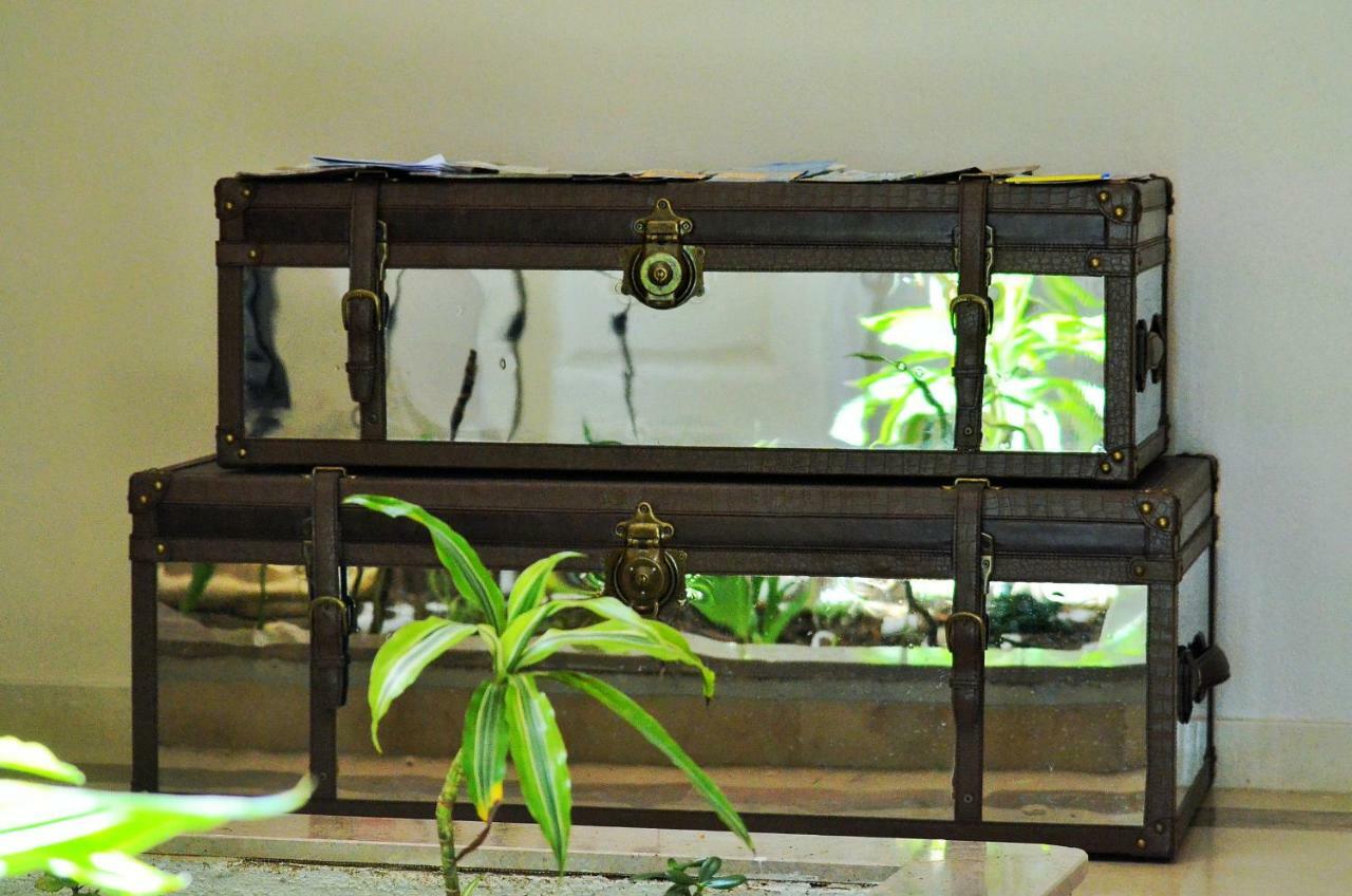 Suites&beds Dp Hostel *